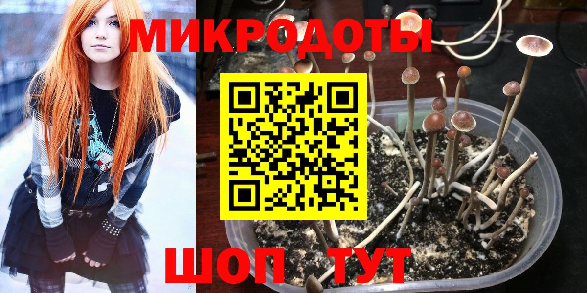 Галлюциногенные грибы Cubensis  Вход с VPN  Псилоцибиновые грибы прущие грибы  Королёв 