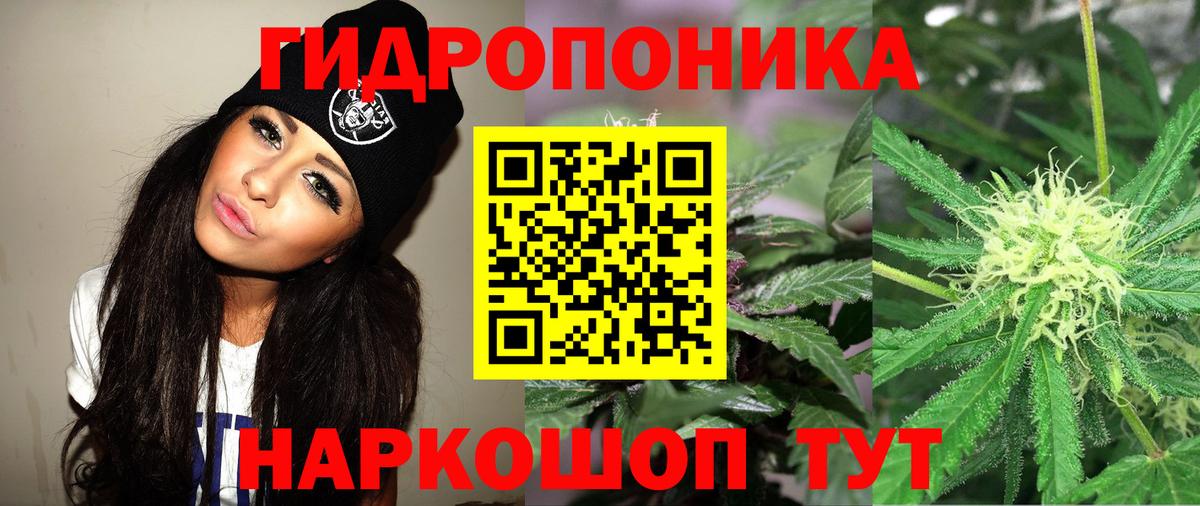 Бошки Шишки VHQ Королёв